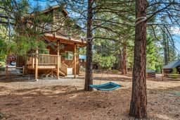 *NEW Pet Friendly Prosser Tree Haus | Hiking Retreat