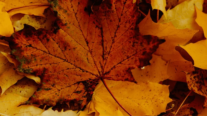 Preparing Your Vacation Rental for the Fall Season