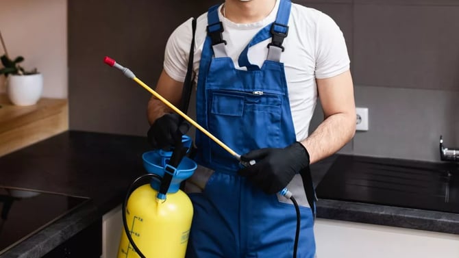 Handling Pest Control Issues in the Fall