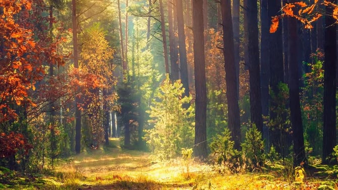 How to Extend the Summer Vibes into September