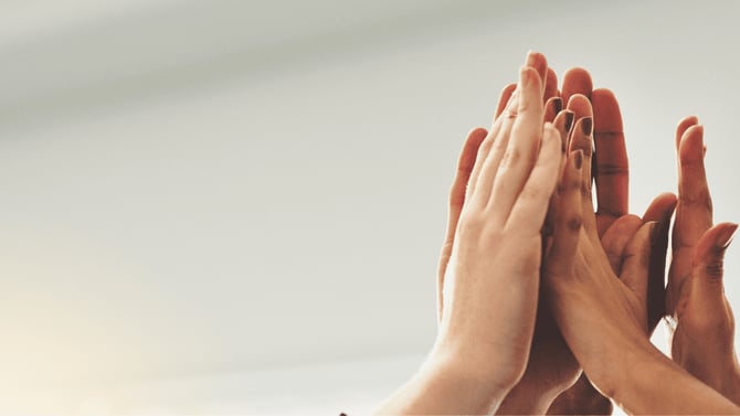 Tenant-Friendly Policies for a Happy Home