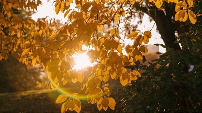 Mindful Morning Routines for a Balanced and Energized Day