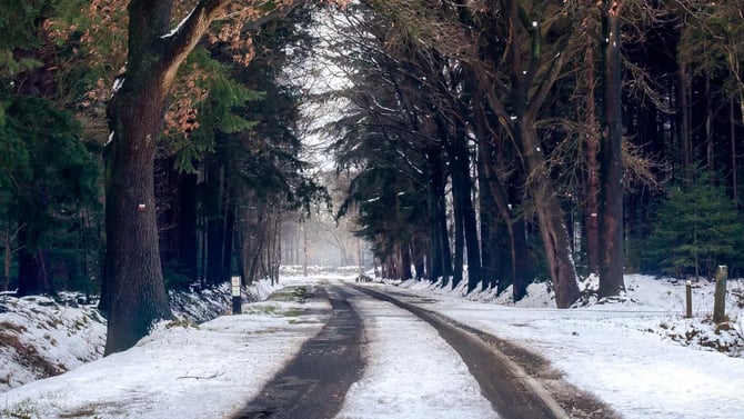 Maximizing Holiday Bookings: Strategies for Attracting December Travelers