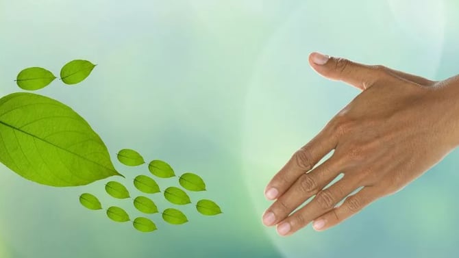 Eco-Friendly Property Management Tips for Miami Homes