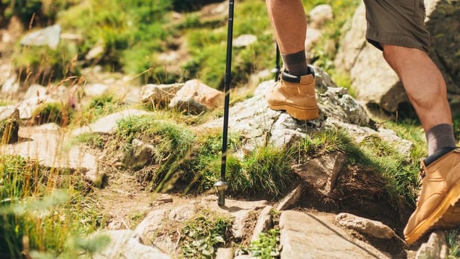 Outdoor Adventures in Lake Tahoe: Hiking Trails to Explore in June