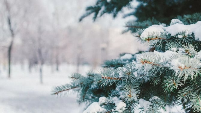Understanding Local Regulations for Winter Rentals and Snow Removal